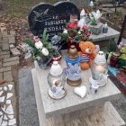 zdjęcie nr 14