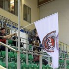 zdjęcie nr 12