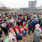 zdjęcie nr 102