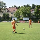 zdjęcie nr 49