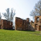 zdjęcie nr 8