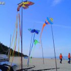 Kiteweekend. Impreza latawcowa na plażach Mierzei Wiślanej Aleksandra Szymańska