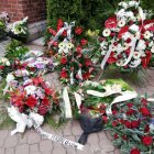 zdjęcie nr 13