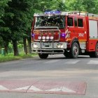 zdjęcie nr 16