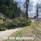 zdjęcie nr 15