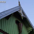 zdjęcie nr 9