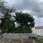 zdjęcie nr 14