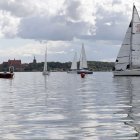 zdjęcie nr 120