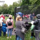 zdjęcie nr 20