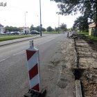 zdjęcie nr 7