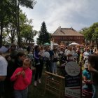 zdjęcie nr 35