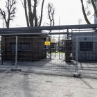 zdjęcie nr 14