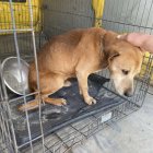  OTOZ Animals Braniewo