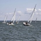 zdjęcie nr 241