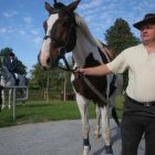 Milejewko z wielkim oknem na świat Michał Skroboszewski