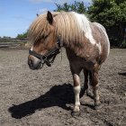 zdjęcie nr 14