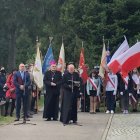 zdjęcie nr 8