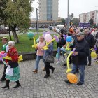 zdjęcie nr 51