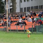 zdjęcie nr 131