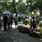 zdjęcie nr 56