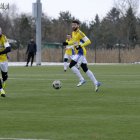 zdjęcie nr 14