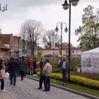 zdjęcie nr 38