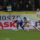 zdjęcie nr 12