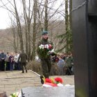 zdjęcie nr 37