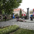 zdjęcie nr 10