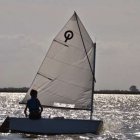 Fotka nr 2 z 5