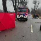 zdjęcie nr 14