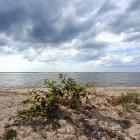 Przygraniczna plaża
