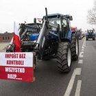 zdjęcie nr 128