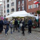 zdjęcie nr 44