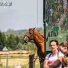 zdjęcie nr 19