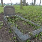 zdjęcie nr 26