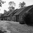 zdjęcie nr 34