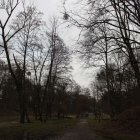 zdjęcie nr 18