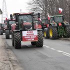 zdjęcie nr 111