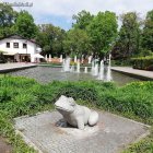 zdjęcie nr 101
