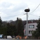 zdjęcie nr 8