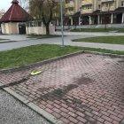  Straż Miejska w Elblągu