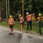 zdjęcie nr 15