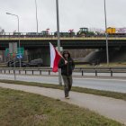 zdjęcie nr 10