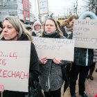zdjęcie nr 12