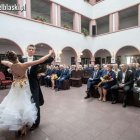 Fotka nr 5 z 50