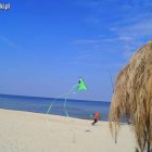 Kiteweekend. Impreza latawcowa na plażach Mierzei Wiślanej Aleksandra Szymańska