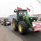 zdjęcie nr 91