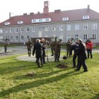 zdjęcie nr 31