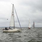 zdjęcie nr 156